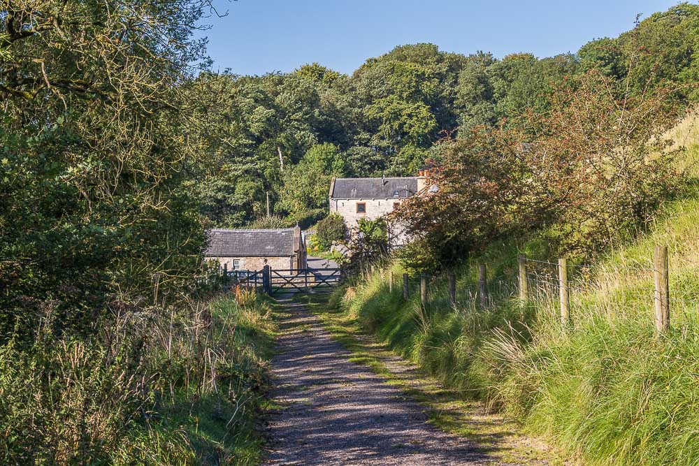 Brushfield Brushfield